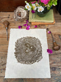 Home- A nest print by Lou Tonkin