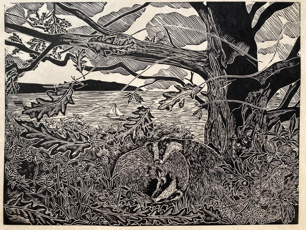 Along from Badger wood