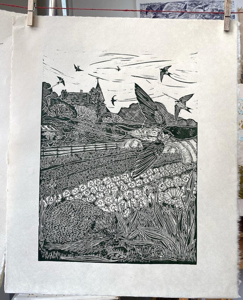 Trefusis House Martin