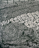 Trefusis House Martin