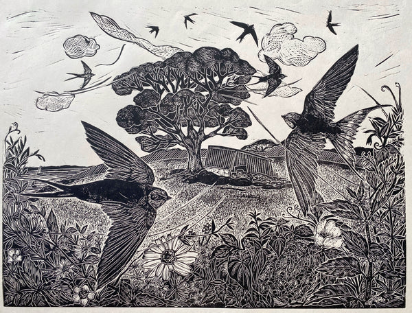 Summer swifts & swallows