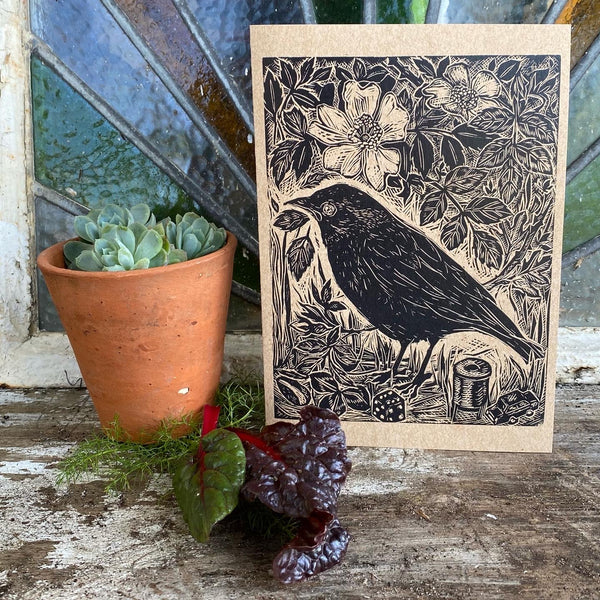 Jackdaw card