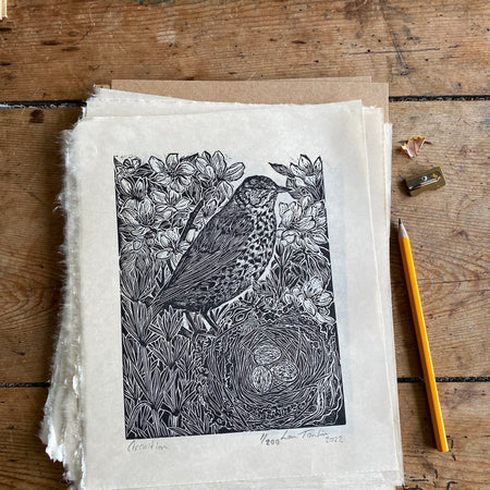 Song Thrush- Circuition limited edition lino cut print by Lou Tonkin