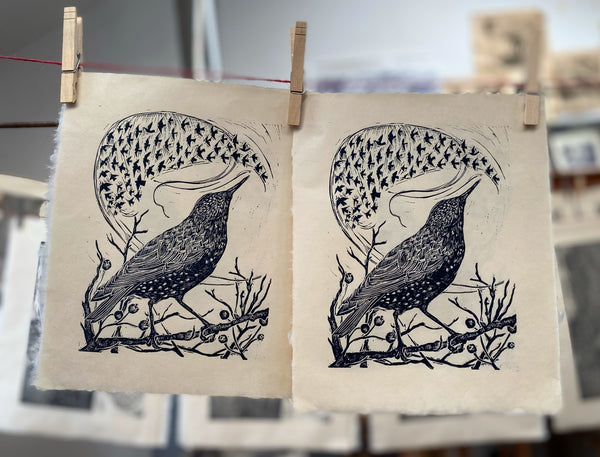 Starling- Sky Dancer limited edition lino cut print by Lou Tonkin