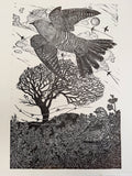 Cuckoo flight