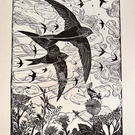 A sky full of Swifts