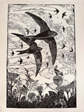 A sky full of Swifts