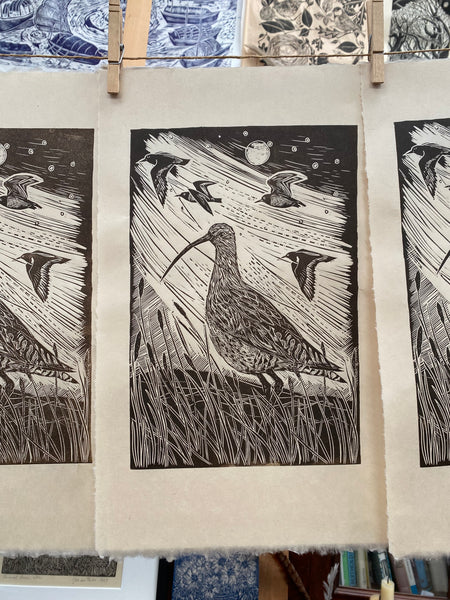 Curlew ‘Song of the Night’