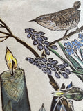 Old Friend (Wren spring study)