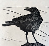 Bran du- a crow print. This is a limited edition original lino print by Lou Tonkin