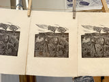 Wild pony- Study 2. A lino cut print by Lou Tonkin