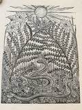 Garden dragons- a slow worm print by Lou Tonkin