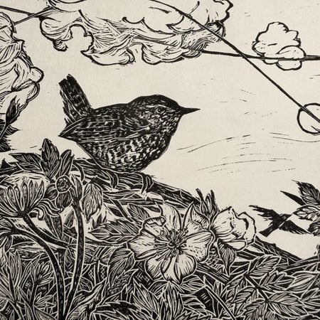 Midsummer hedge Wren