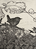 Midsummer hedge Wren