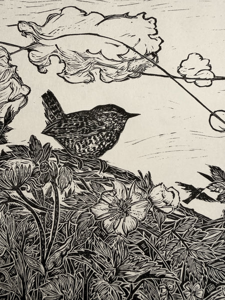 Midsummer hedge Wren