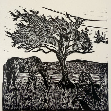Wild Pony- Study 1. A limited edition Lino cut print by Lou Tonkin