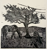 Wild Pony- Study 1. A limited edition Lino cut print by Lou Tonkin