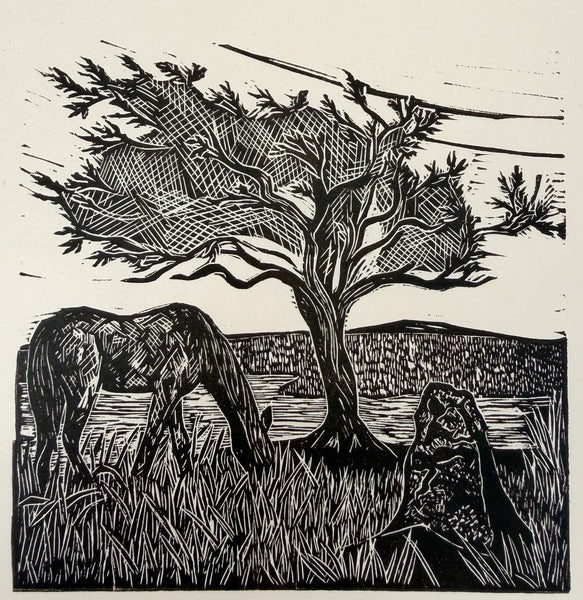 Wild Pony- Study 1. A limited edition Lino cut print by Lou Tonkin