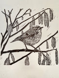 Golden spring hope - Goldcrest
