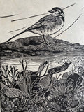 Spring tides- wagtail