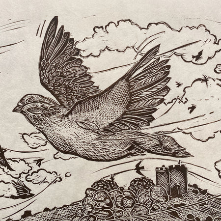 Carn Brea Pigeon