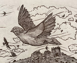 Carn Brea Pigeon