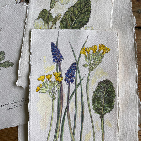 Spring flower study