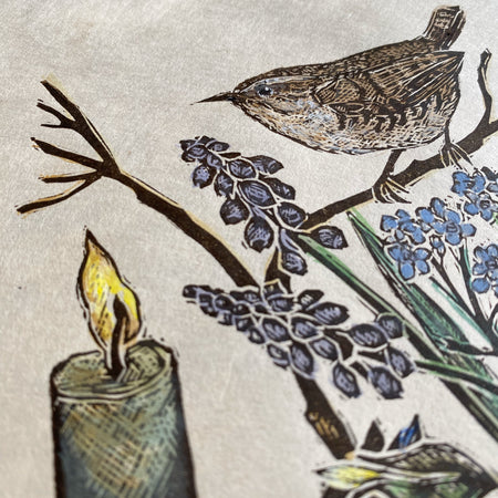 Old Friend (Wren spring study)