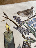 Old Friend (Wren spring study)