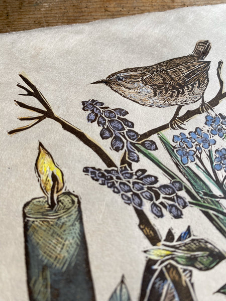 Old Friend (Wren spring study)
