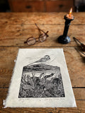 Spring tides- wagtail