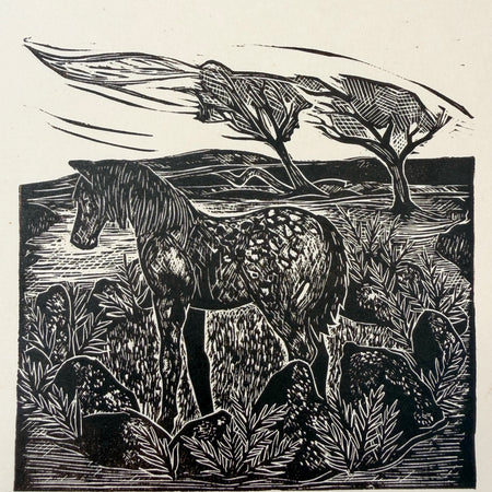 Wild pony- Study 2. A lino cut print by Lou Tonkin