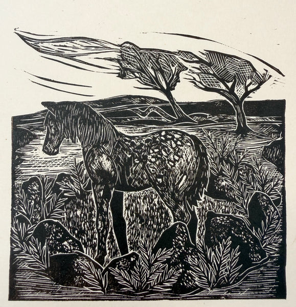 Wild pony- Study 2. A lino cut print by Lou Tonkin
