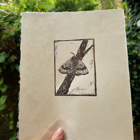 Moth twig a small lino cut print by Lou Tonkin