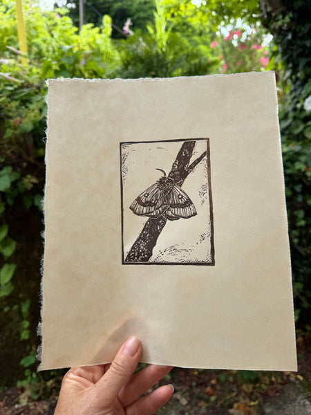 Moth twig a small lino cut print by Lou Tonkin