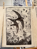 A sky full of Swifts