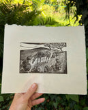 Wild pony- the imagining. A limited edition lino cut print by Lou Tonkin
