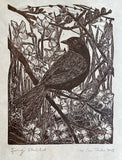 Spring blackbird