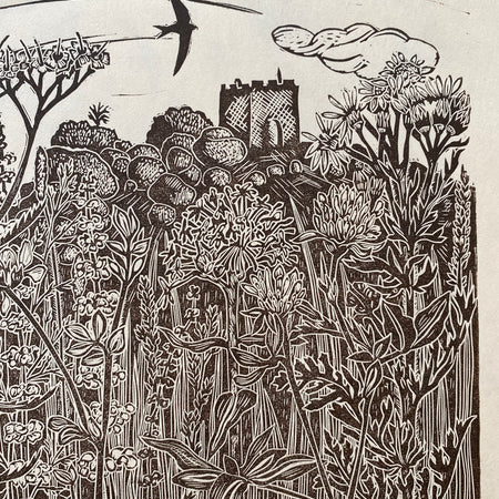 Wild Edges