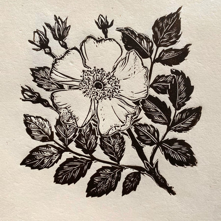 Wild rose