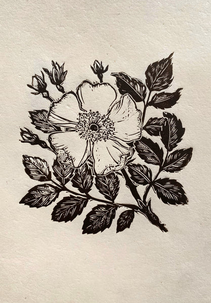 Wild rose
