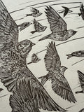 For them- a linnet print, a limited edition lino cut print by Lou Tonkin
