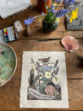 Old Friend (Wren spring study)