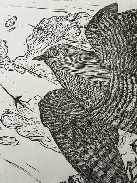 Cuckoo flight