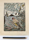 That beautiful Summer- goldfinch print by Lou Tonkin