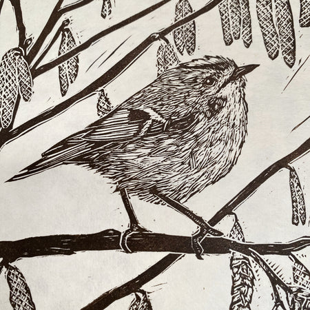 Golden spring hope - Goldcrest