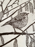Golden spring hope - Goldcrest