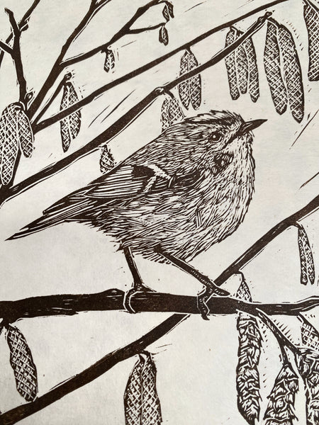 Golden spring hope - Goldcrest