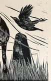 Wild Pony study 3, a limited edition lino cut print, by LouTonkin