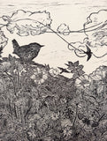 Midsummer hedge Wren